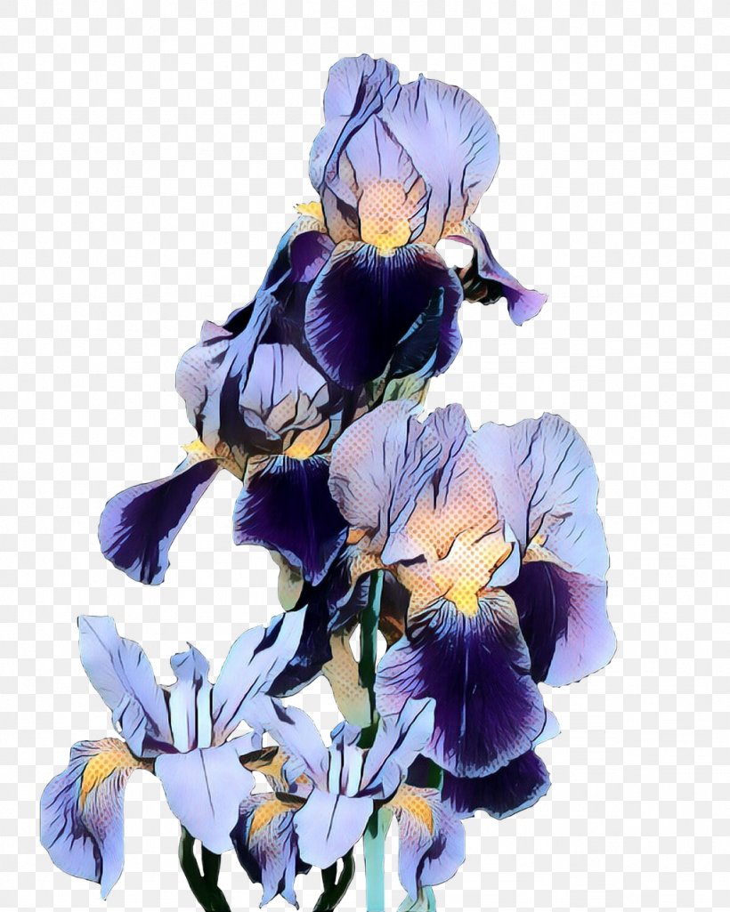 Flowers Background, PNG, 1024x1280px, Pansy, Cut Flowers, Flower, Iris, Iris Family Download Free