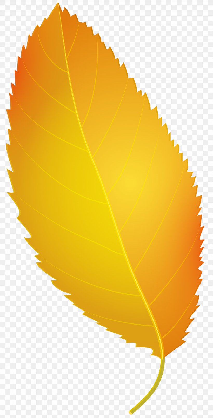 Maple Leaf Yellow Clip Art, PNG, 4073x8000px, Leaf, Autumn, Maple Leaf, Orange, Plant Download Free