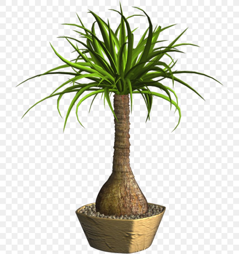 Flowerpot Arecaceae Plant, PNG, 716x872px, Flowerpot, Arecaceae, Arecales, Drawing, Flower Download Free