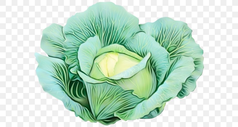 Flowers Background, PNG, 600x437px, Cabbage, Artificial Flower, Brassica, Cut Flowers, Flower Download Free