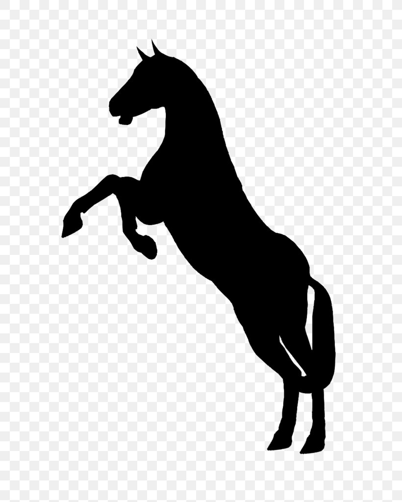 Horse Stallion Rearing Equestrian Clip Art, PNG, 576x1024px, Horse, Black And White, Collection, Colt, Drawing Download Free