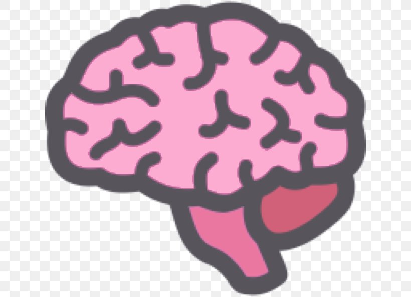 Human Brain Clip Art, PNG, 640x592px, Brain, Brain Damage, Human Brain, Human Head, Icon Design Download Free