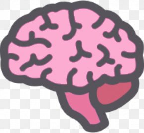 Brain Drawing Vector - Human Brain Clip Art PNG