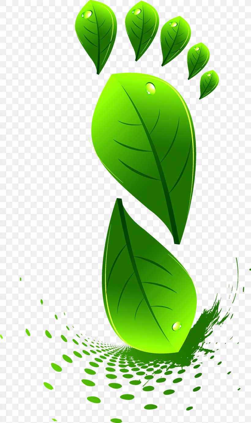 Leaf Green Euclidean Vector, PNG, 1200x2024px, Leaf, Drawing, Grass, Green, Leaf Shape Download Free