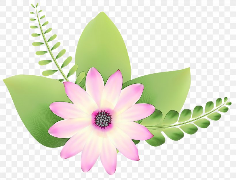 Petal Flowerpot Flowering Plant Plants, PNG, 2999x2290px, Petal, Botany, Flower, Flowering Plant, Flowerpot Download Free