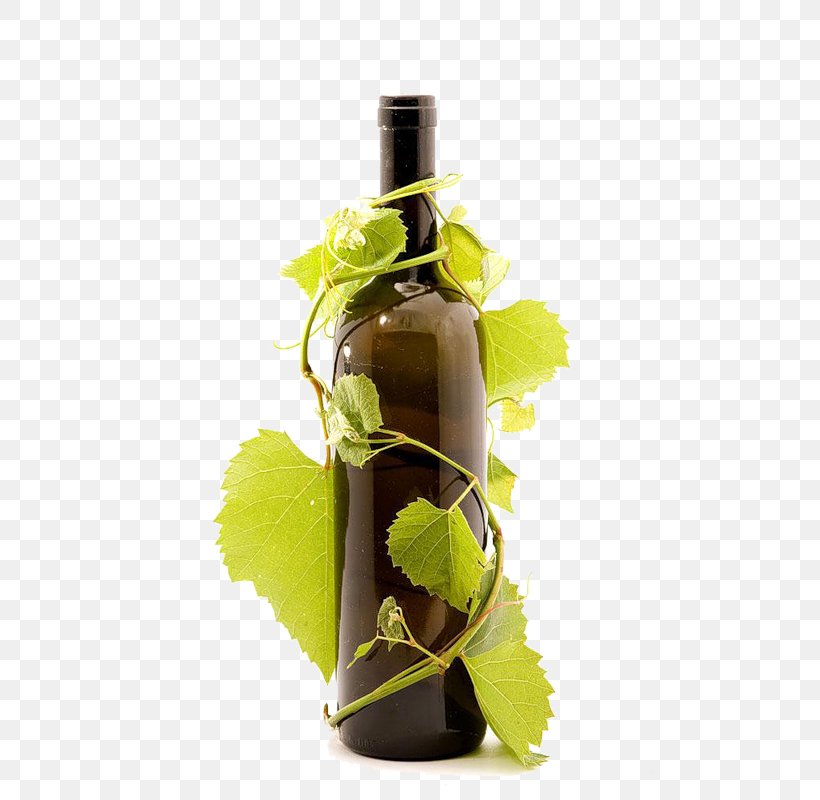 Red Wine Common Grape Vine Bottle Wine Glass, PNG, 562x800px, Wine, Bordeaux Wine, Bottle, Common Grape Vine, Distilled Beverage Download Free