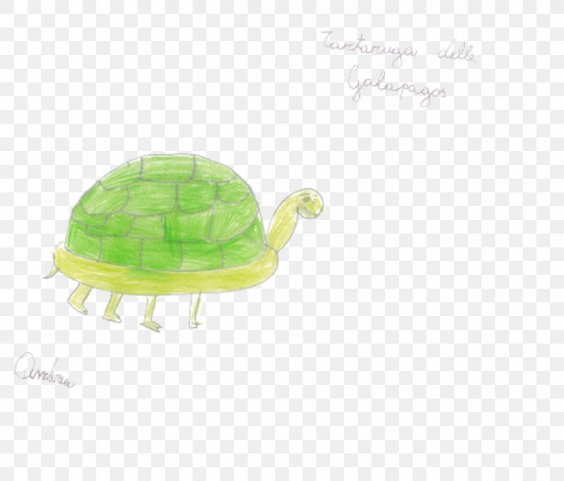 Turtle Green Plastic, PNG, 842x719px, Turtle, Green, Organism, Plastic, Reptile Download Free