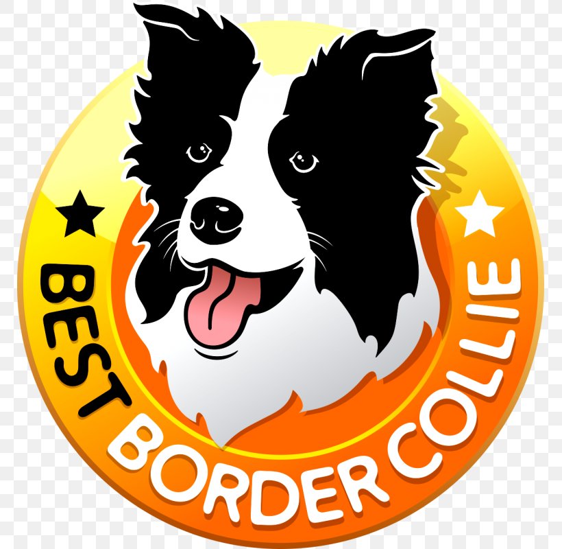 Dog Breed Border Collie Puppy Rough Collie Curso De Adestramento, PNG, 769x800px, Dog Breed, Animal Shelter, Border Collie, Breed, Breeder Download Free