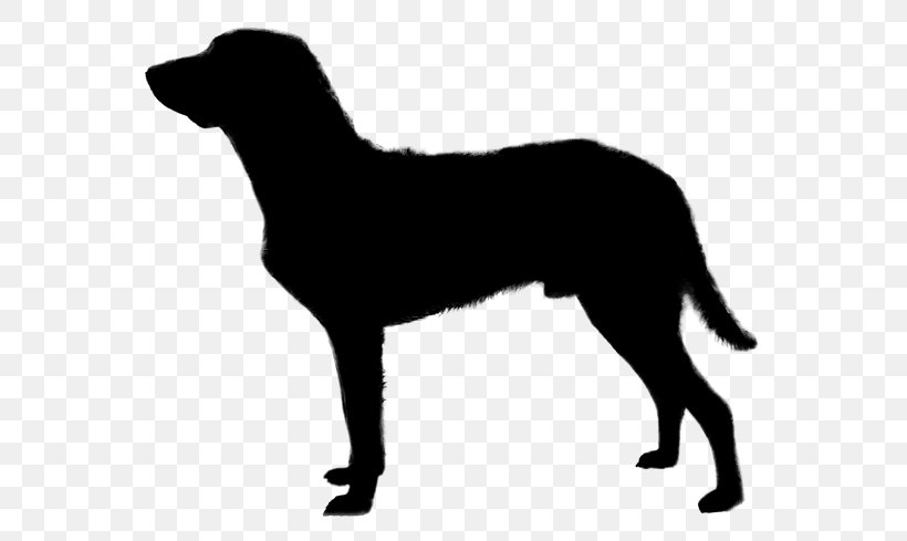 English Mastiff Bullmastiff Dogue De Bordeaux Neapolitan Mastiff Tibetan Mastiff, PNG, 567x489px, English Mastiff, Animal, Black, Borador, Bullmastiff Download Free