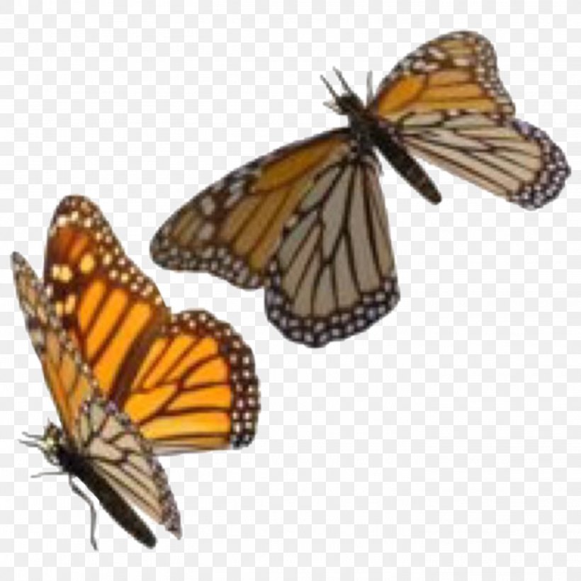 Insect Monarch Butterfly Clip Art Transparency, PNG, 2828x2828px, Insect, Arthropod, Brushfooted Butterflies, Brushfooted Butterfly, Butterflies Download Free