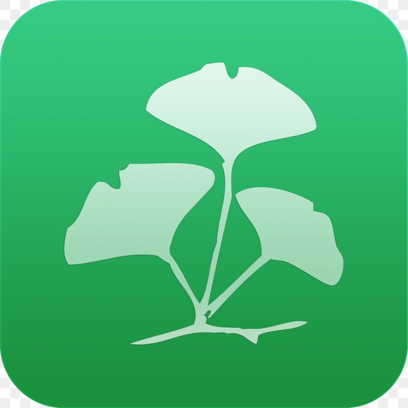 Leaf Flower Clip Art Plant Stem Tree, PNG, 1024x1024px, Leaf, Flora, Flower, Flowering Plant, Grass Download Free