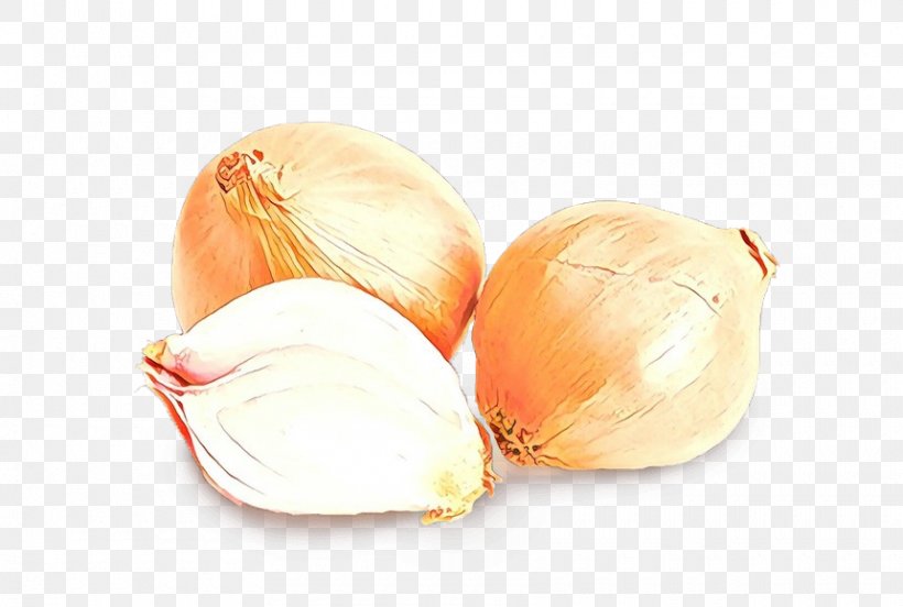 Food Vegetable Yellow Onion Shallot Onion, PNG, 860x579px, Food, Allium, Garlic, Ingredient, Onion Download Free