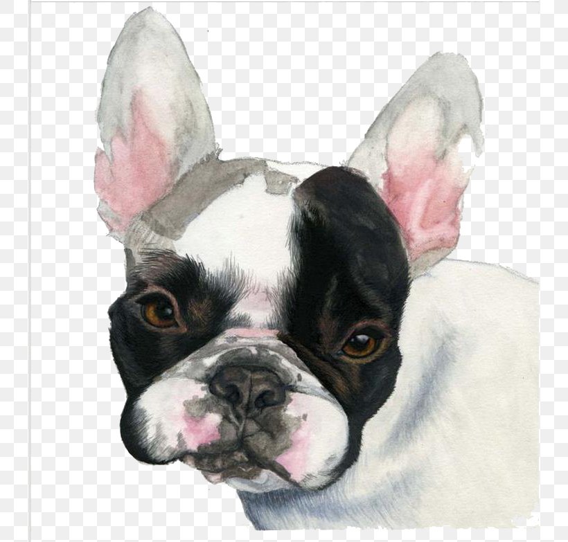 French Bulldog Puppy Watercolor Painting, PNG, 737x783px, French Bulldog, Artist, Boston Terrier, Bulldog, Carnivoran Download Free