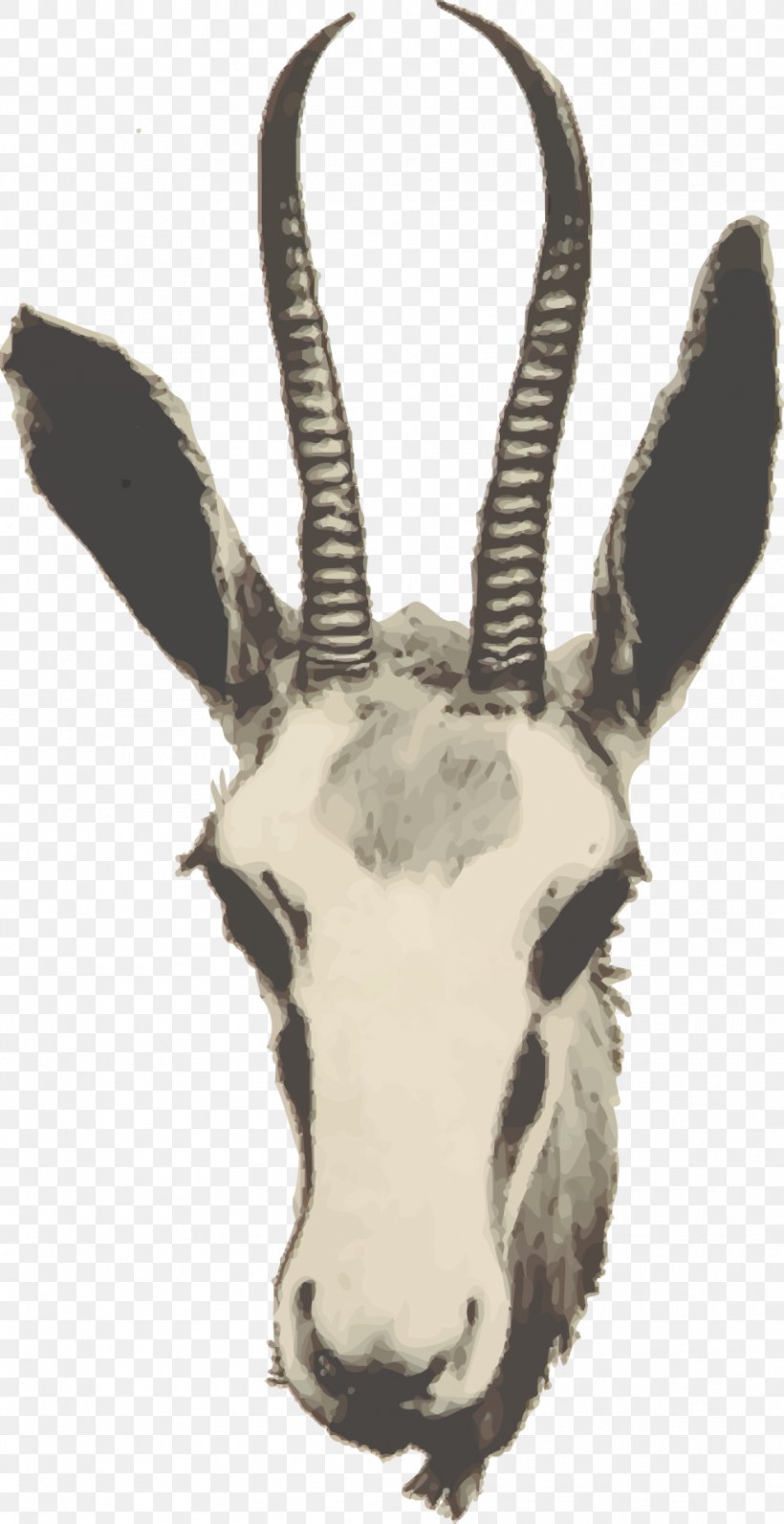 Goat Impala Springbok Gazelle Antelope, PNG, 988x1920px, Goat, Antelope, Antler, Cattle Like Mammal, Cow Goat Family Download Free