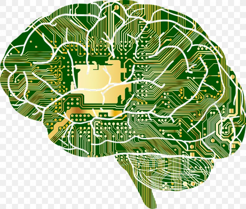 Google Brain Brainu2013computer Interface Human Brain Skull, PNG, 847x720px, Watercolor, Cartoon, Flower, Frame, Heart Download Free