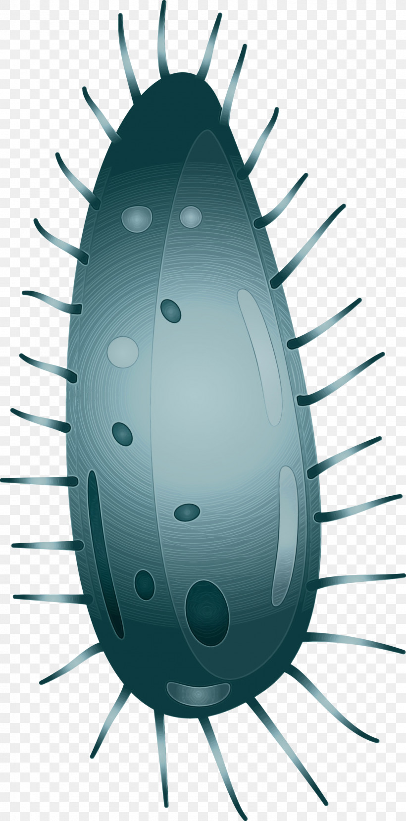 Insect Cockroach Pest Metal, PNG, 1483x3000px, Virus, Cockroach, Insect, Metal, Paint Download Free