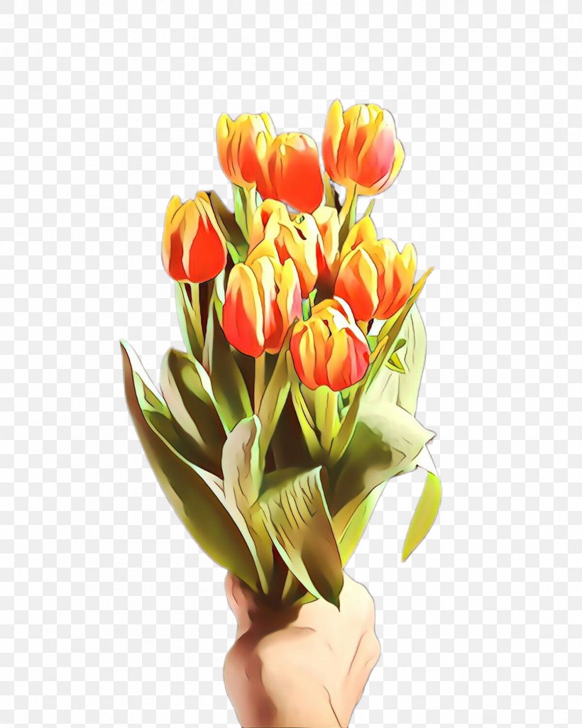 Lily Flower Cartoon, PNG, 1787x2236px, Tulip, Artificial Flower, Blossom, Botany, Bouquet Download Free