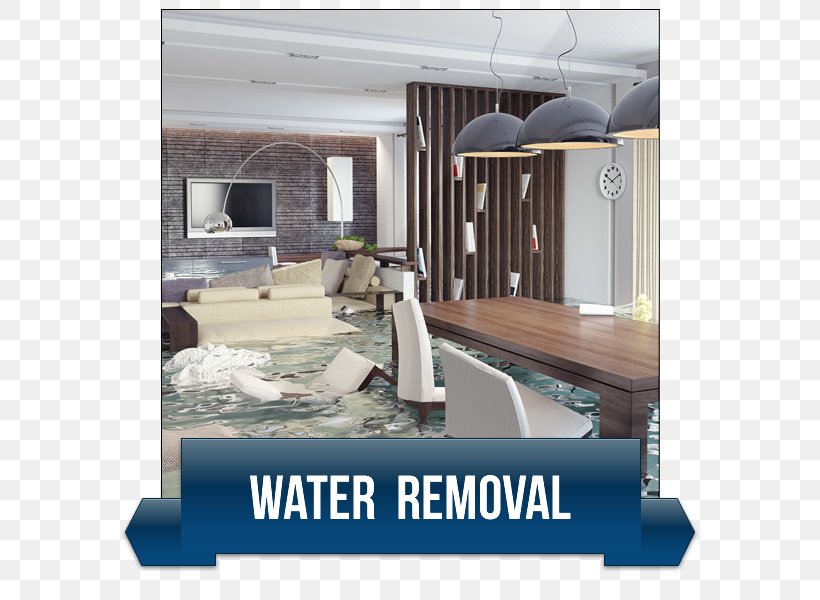 Water Damage Flood Moorpark Indoor Mold Institute Of Inspection Cleaning And Restoration Certification, PNG, 600x600px, Water Damage, Architectural Engineering, Business, California, Door Download Free