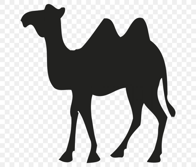 Dromedary Bactrian Camel Sticker Logo, PNG, 682x700px, Dromedary, Adhesive, Animal, Arabian Camel, Art Download Free