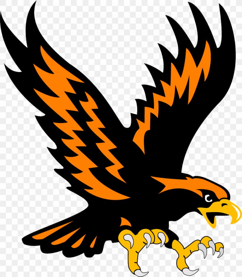 Hedgesville Somerset Area School District National Secondary School Student, PNG, 2364x2706px, Hedgesville, Accipitriformes, Artwork, Bald Eagle, Beak Download Free