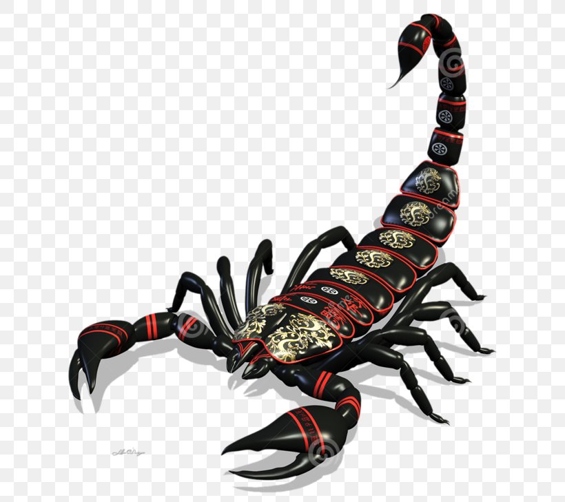 Scorpion Stock Photography Drawing, PNG, 800x729px, 3d Computer Graphics, Scorpion, Animal Source Foods, Arthropod, Crab Download Free