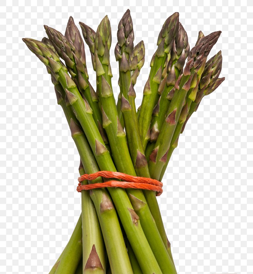 Asparagus Seed Vegetarian Cuisine Herb Soil, PNG, 800x887px, Asparagus, Crop, Food, Harvest, Herb Download Free