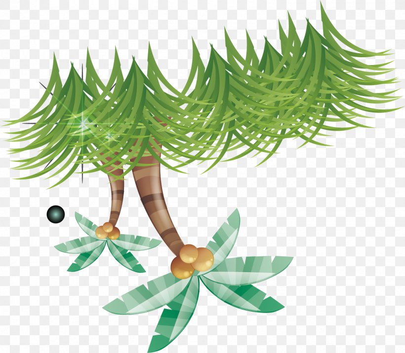 Coconut Illustration, PNG, 1405x1227px, Coconut, Branch, Evergreen, Fir, Flora Download Free