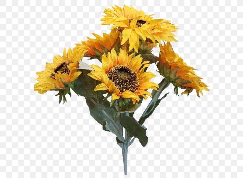 Common Sunflower Cut Flowers Artificial Flower Flower Bouquet, PNG, 800x600px, Common Sunflower, Artificial Flower, Chrysanthemum, Cut Flowers, Daisy Family Download Free
