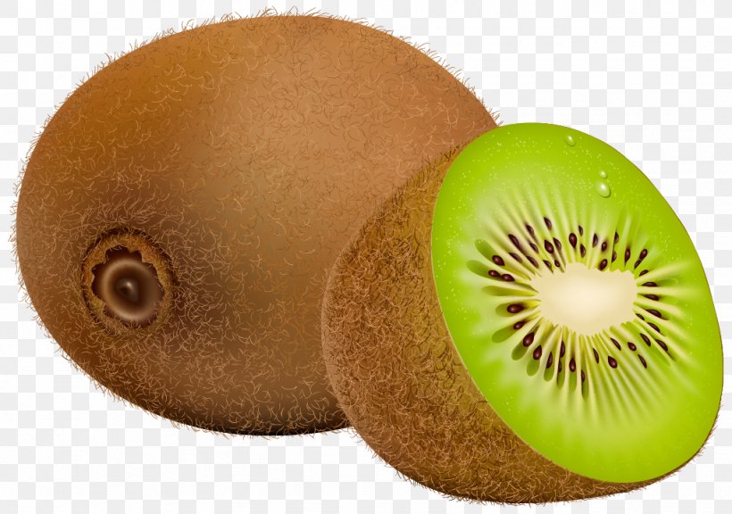 Kiwifruit Clip Art, PNG, 1027x722px, Kiwifruit, Blog, Coconut, Food, Fruit Download Free