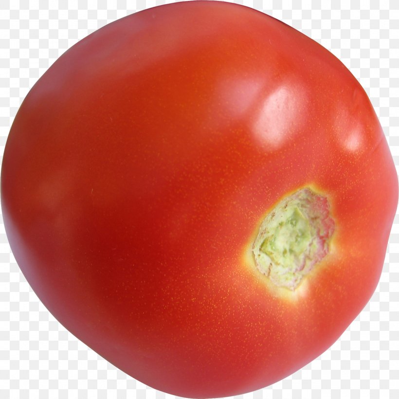 Plum Tomato Hawker, PNG, 1280x1280px, Plum Tomato, Auglis, Bush Tomato, Drawing, Food Download Free