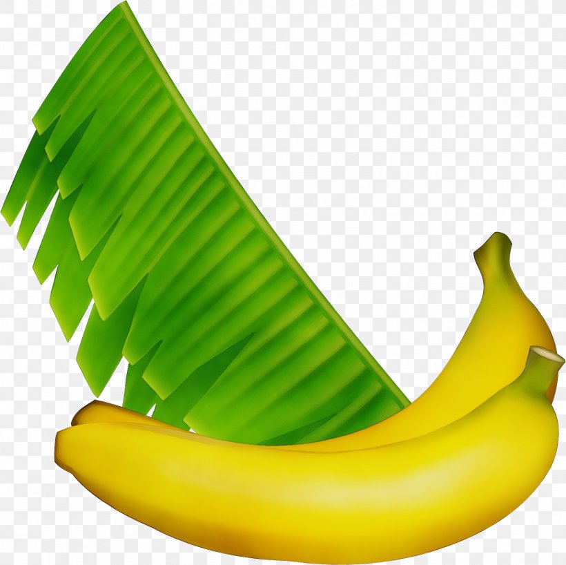 Banana Leaf, PNG, 1569x1567px, Watercolor, Banana, Banana Family, Cooking, Cooking Banana Download Free