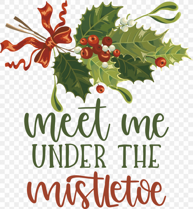 Meet Me Under The Mistletoe Mistletoe, PNG, 2765x3000px, Mistletoe, Aquifoliales, Branching, Christmas Day, Christmas Ornament Download Free