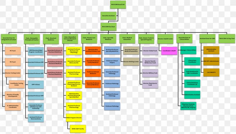 Rocky Vista University College Of Osteopathic Medicine Academic Department Medical School, PNG, 2226x1269px, Academic Department, Chart, College, Diagram, Faculty Download Free