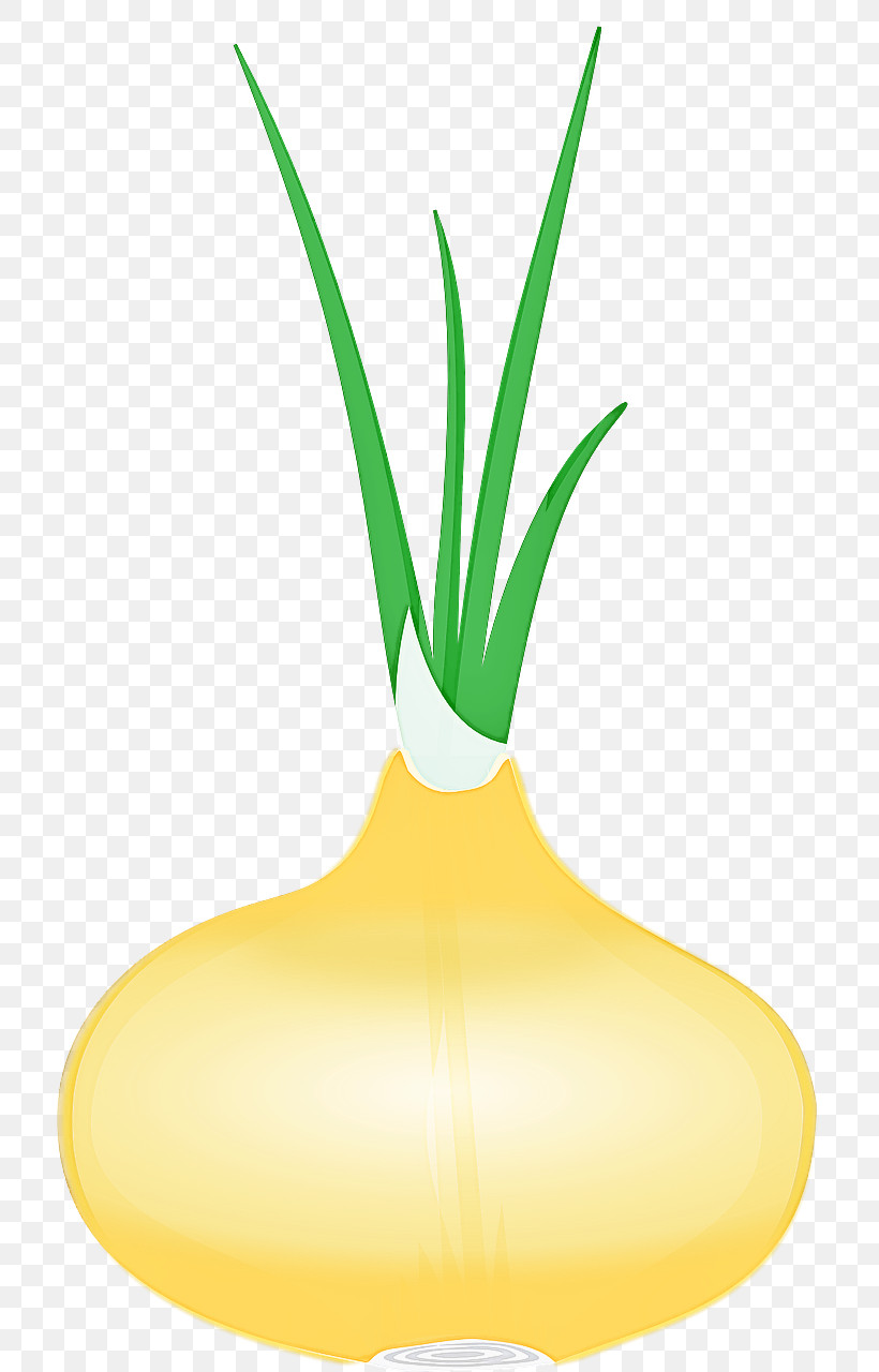 Vegetable Yellow Allium Plant Leaf, PNG, 713x1280px, Vegetable, Allium, Amaryllis Family, Chives, Leaf Download Free