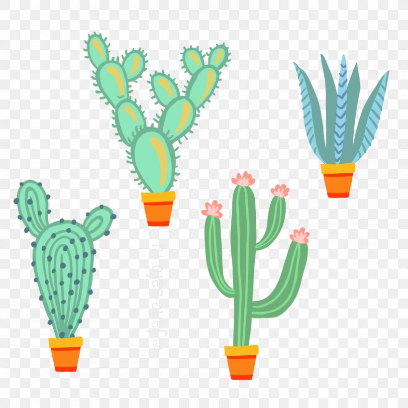 Cactaceae Standard Test Image Clip Art, PNG, 850x850px, Cactaceae, Cactus, Caryophyllales, Digital Image, Flowering Plant Download Free