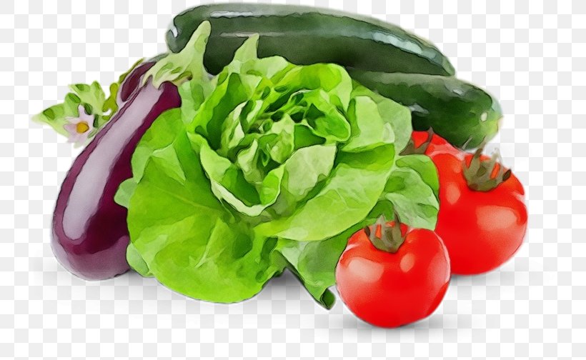 Salad, PNG, 734x504px, Watercolor, Food, Leaf Vegetable, Natural Foods, Paint Download Free
