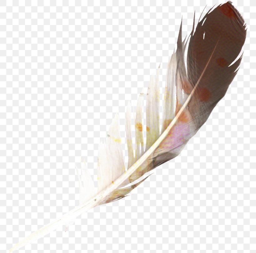Writing Cartoon, PNG, 767x810px, Feather, Natural Material, Quill, Wing, Writing Implement Download Free