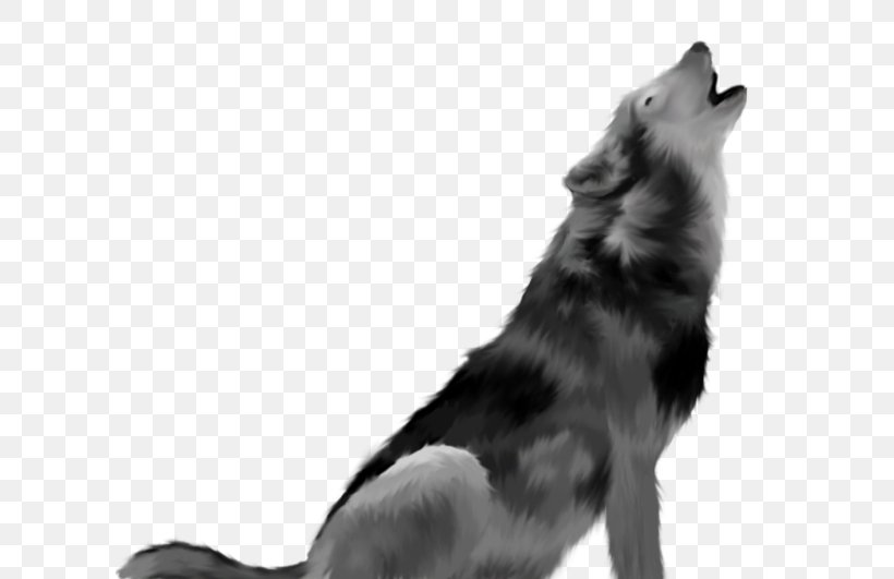 Dog Desktop Wallpaper, PNG, 607x531px, Dog, Black, Black And White, Black Wolf, Carnivoran Download Free