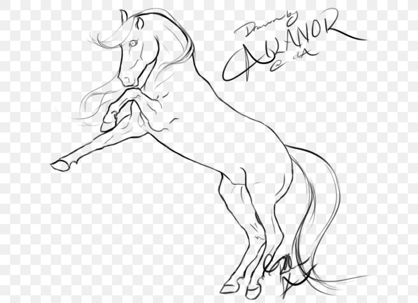 Rearing Line Art Drawing Mustang Arabian Horse, PNG, 673x595px, Rearing, Arabian Horse, Arm, Artwork, Black And White Download Free