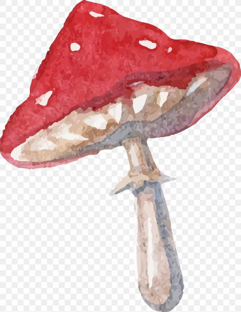 Alice's Adventures In Wonderland Drawing Watercolor Painting Quotation, PNG, 2393x3102px, Alice S Adventures In Wonderland, Drawing, Fungus, Jaw, Mushroom Download Free