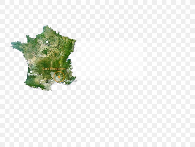 Metropolitan France Map, PNG, 1122x850px, Metropolitan France, Europe, France, Information, Leaf Download Free