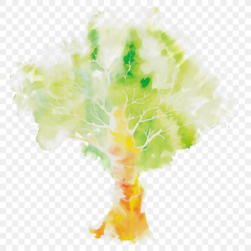 Tree Plant Watercolor Paint, PNG, 1024x1024px, Watercolor, Paint, Plant, Tree, Watercolor Paint Download Free