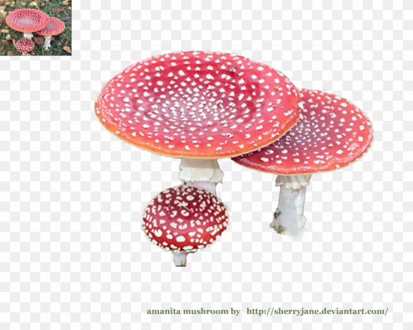 DeviantArt Mushroom Amanita Artist, PNG, 1024x819px, Art, Amanita, Artist, Community, Deviantart Download Free