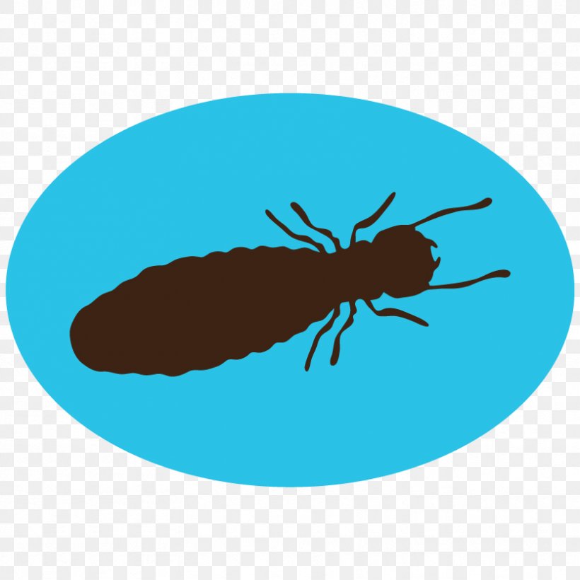 Insect Pest Control Mosquito Termite, PNG, 833x833px, Insect, Academic Conference, Academic Institution, Academy, Animal Download Free