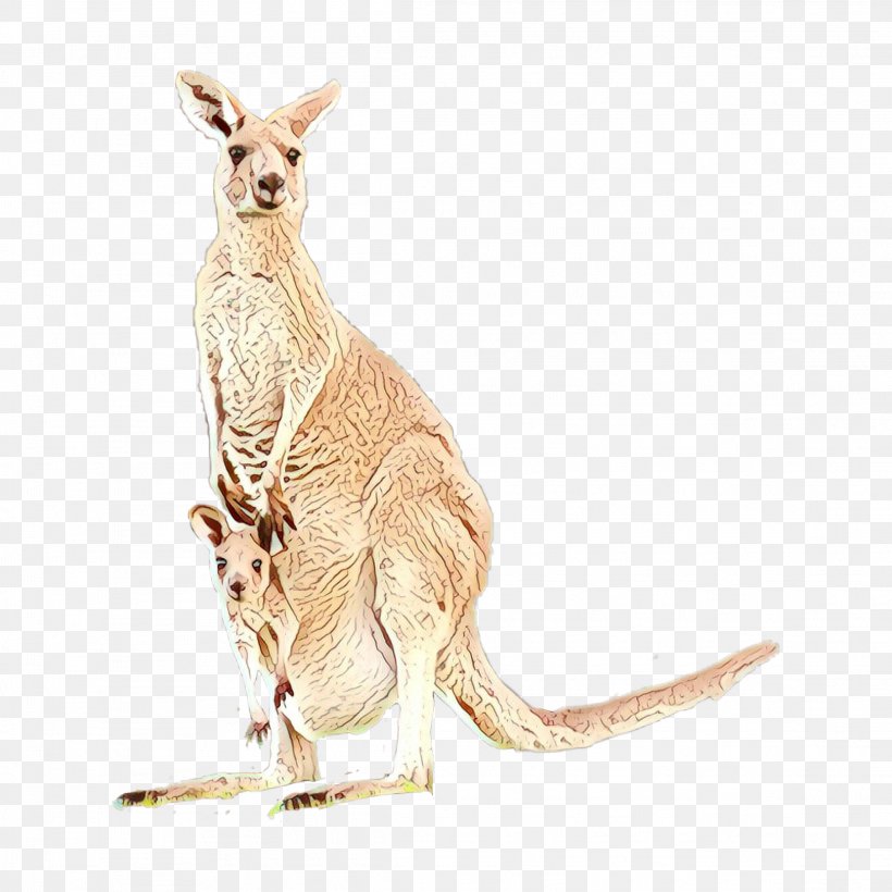 Kangaroo Macropodidae Kangaroo Red Kangaroo Wallaby, PNG, 2289x2289px, Cartoon, Animal Figure, Kangaroo, Macropodidae, Red Kangaroo Download Free