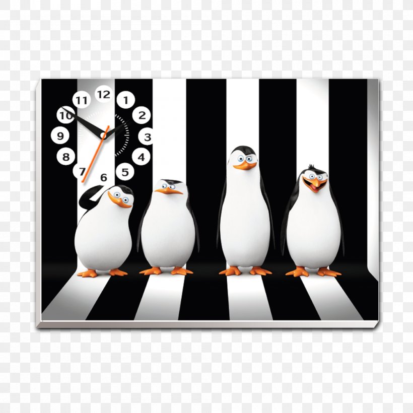 Penguin Kowalski Skipper Madagascar Desktop Wallpaper, PNG, 1000x1000px, Penguin, Animated Film, Bird, Bowling Equipment, Bowling Pin Download Free