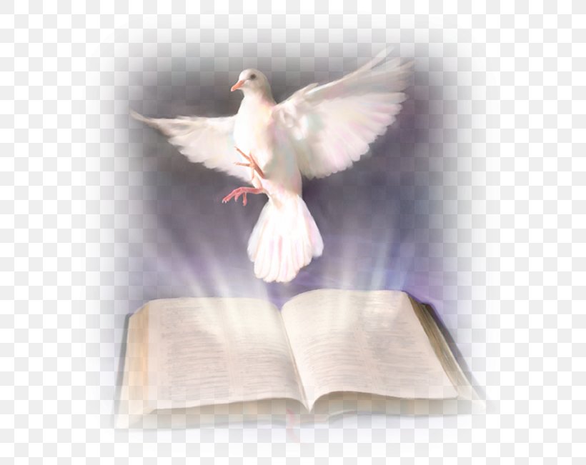 Bible Holy Spirit In Christianity Baptism With The Holy Spirit God, PNG, 635x651px, Bible, Baptism With The Holy Spirit, Beak, Bird, Christian Church Download Free