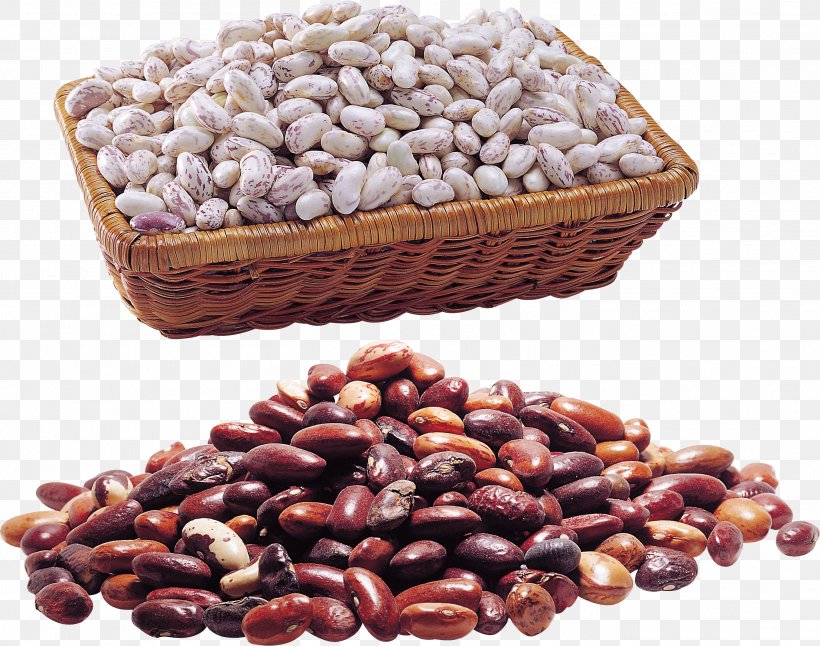 Common Bean Kidney Bean Clip Art, PNG, 2712x2137px, Common Bean, Azuki Bean, Bean, Carbohydrate, Cocoa Bean Download Free