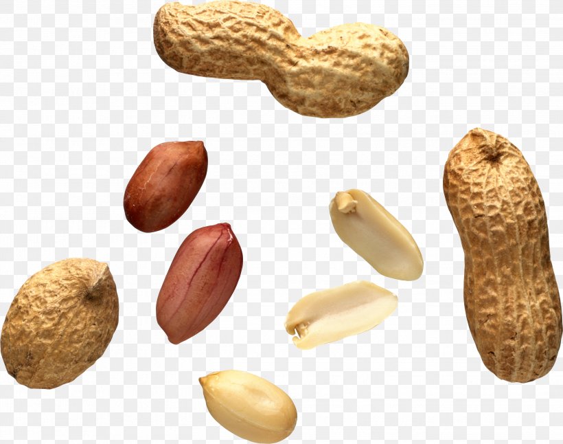Peanut Tree Nut Allergy Food Allergy, PNG, 2694x2124px, Peanut, Allergy, Almond, Commodity, Food Download Free