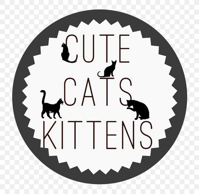 Cupcake Bakery Kitten Cat, PNG, 800x800px, Cake, Animal, Bakery, Birthday, Black Download Free